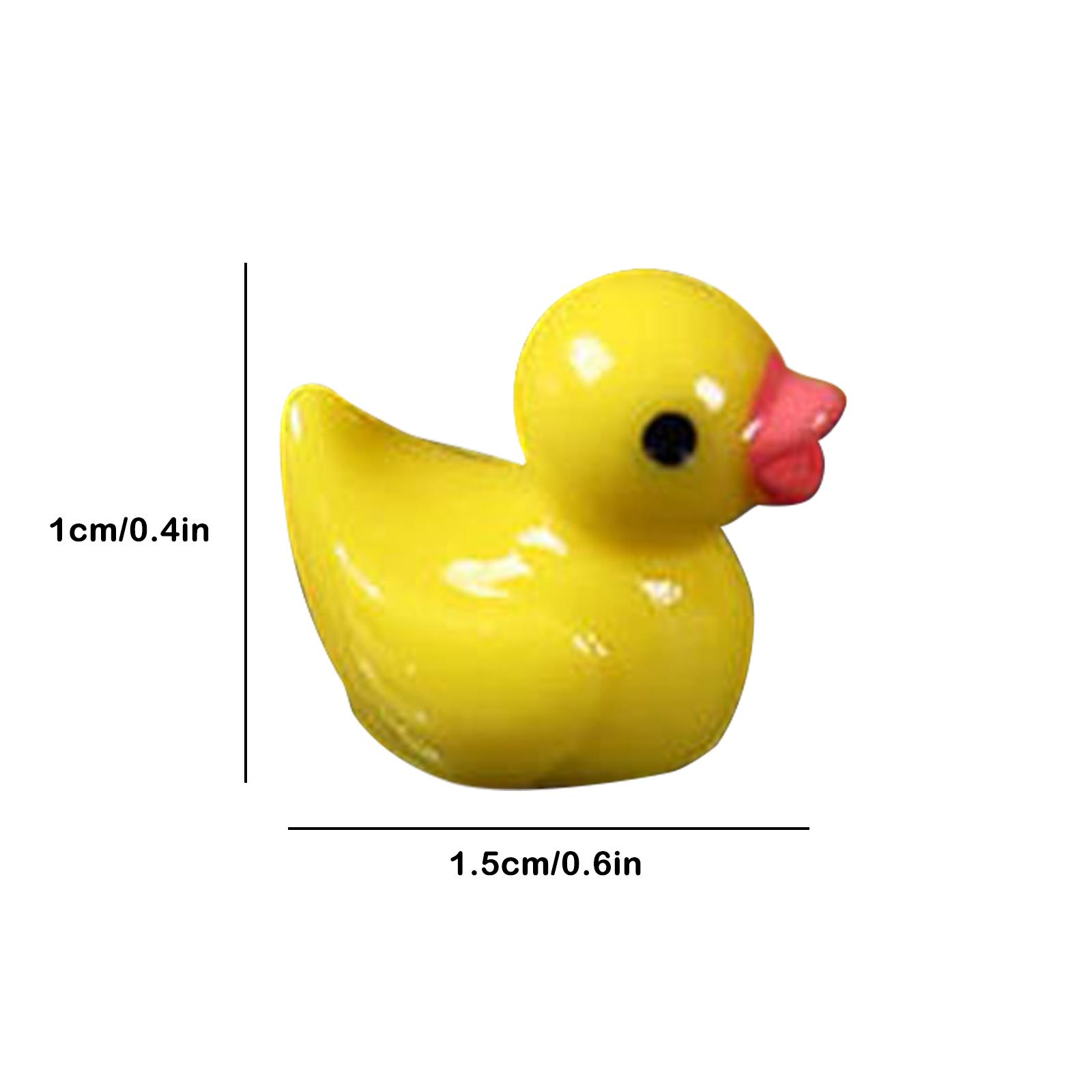 Figurines miniatures de canard - Home Decor Ikea avis et prix