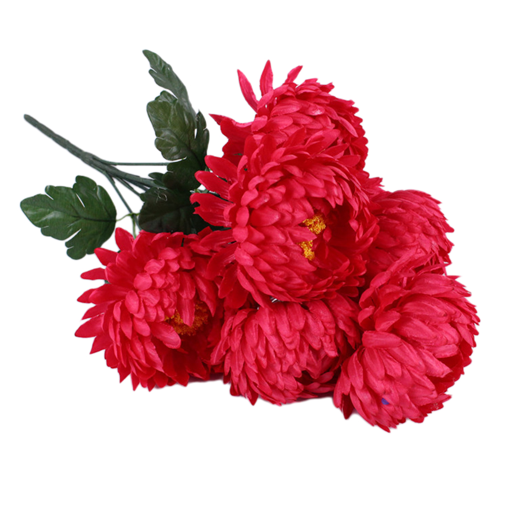 Croyez Notes Sacrifices Plante - Home Decor Website Free avis et prix