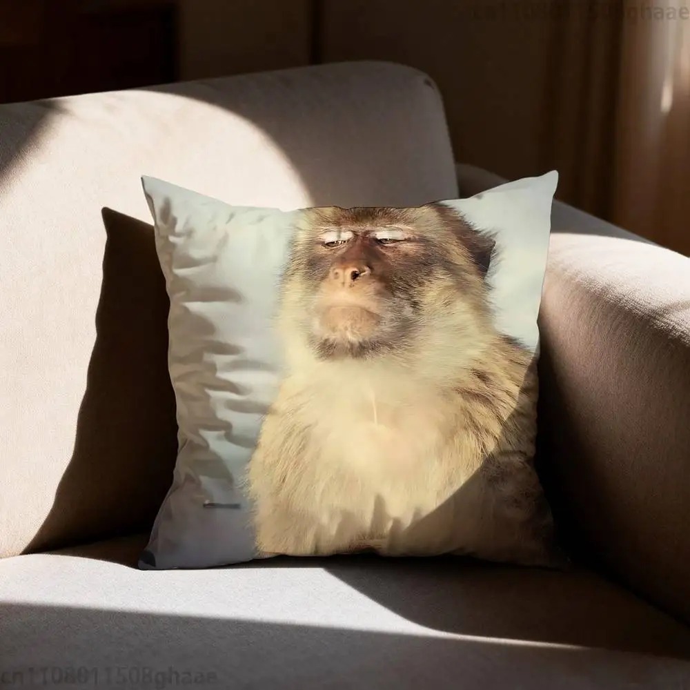 Housse de coussin drôle avec m - Home Decor Emoji avis et prix